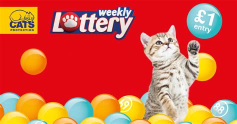 cats protection lottery numbers.